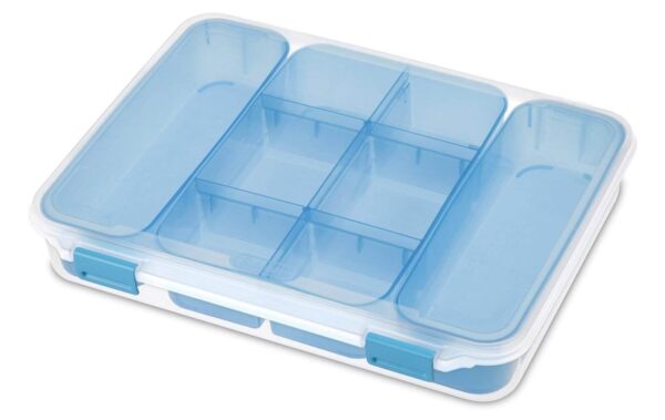 Sterilite Divided Case
